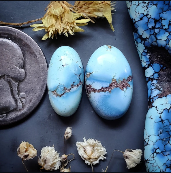 Golden Hills Turquoise Oval Set Cabochon