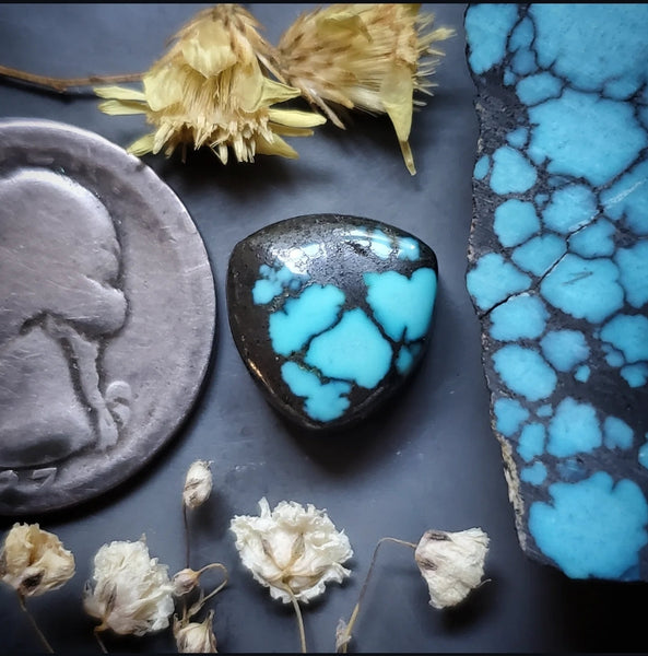 Moon River Turquoise Trillion Cabochon