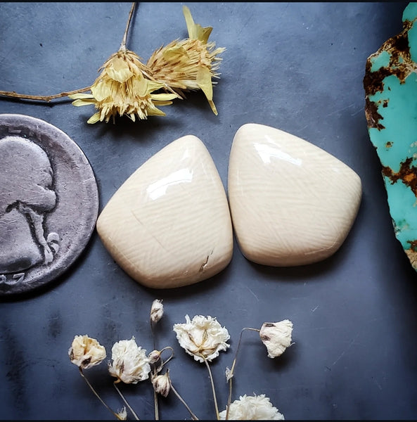Alaskan WMT Drop Pair Cabochon