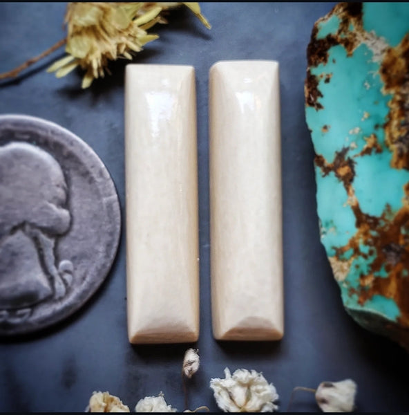 Alaskan WMT Bar Pair Cabochon