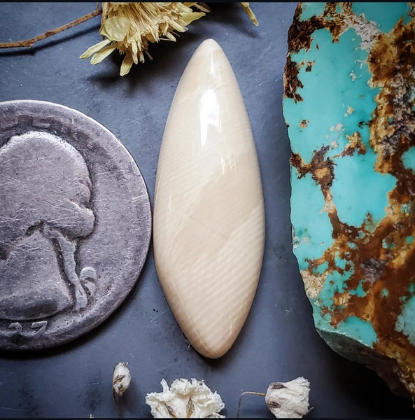 Alaskan WMT Drop Cabochon