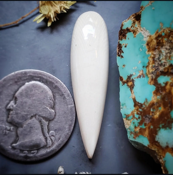 Alaskan WMT Talon Cabochon