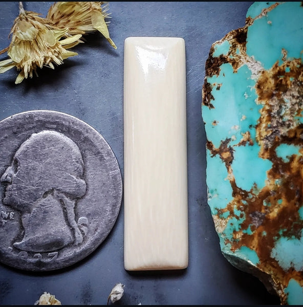 Alaskan WMT Bar Cabochon