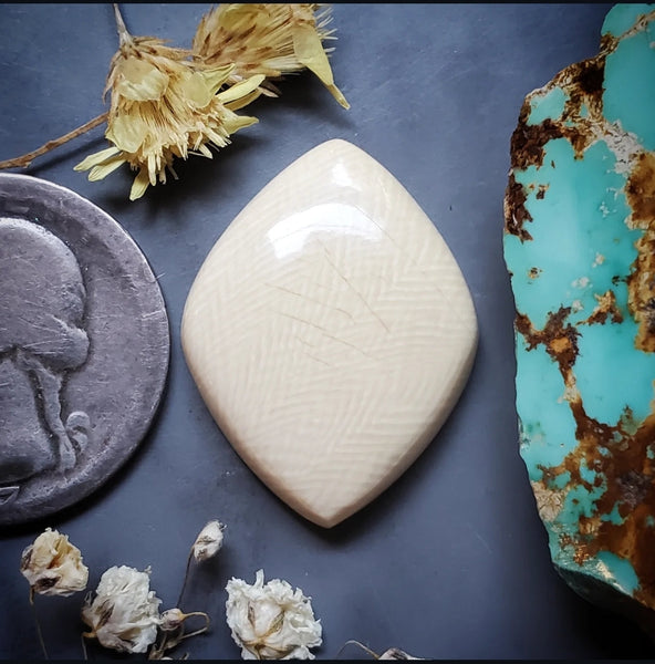 Alaskan WMT Marquise Cabochon