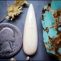 Alaskan WMT Talon Cabochon