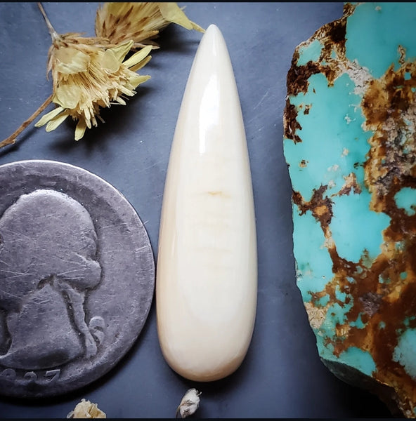 Alaskan WMT Talon Cabochon