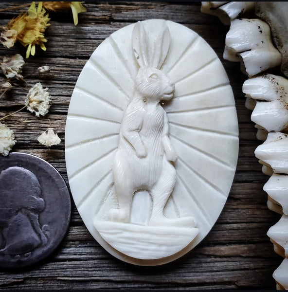 Jack Rabbit Bone Carving Cabochon