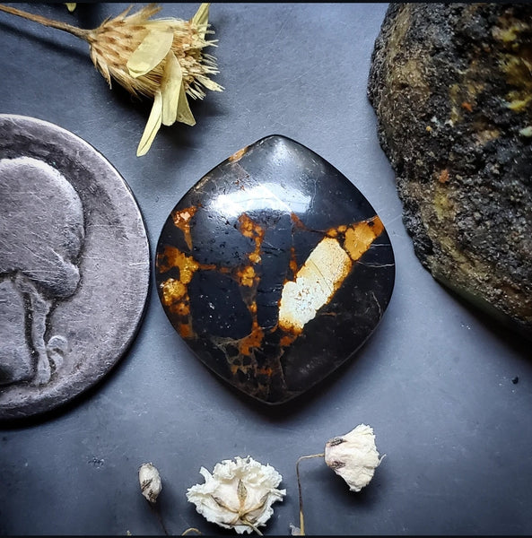 Black Jack Turquoise Marquise Cabochon