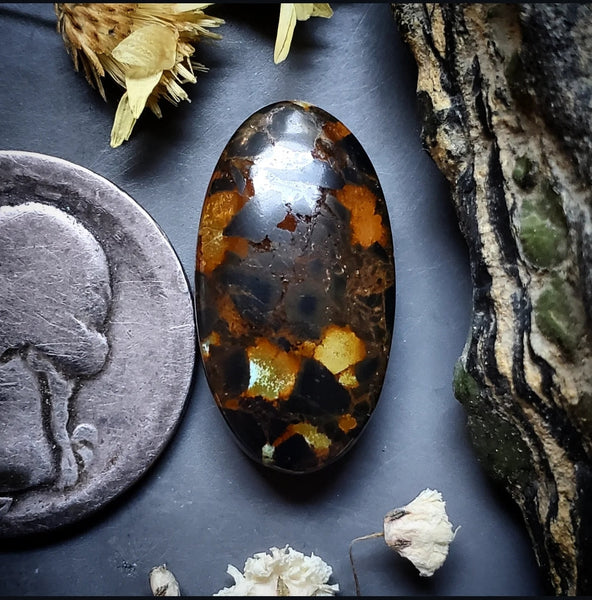 Black Jack Turquoise Oval Cabochon