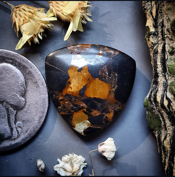 Black Jack Turquoise Trillion Cabochon
