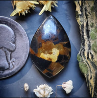 Black Jack Turquoise Petal Cabochon