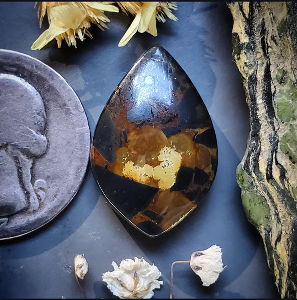 Black Jack Turquoise Petal Cabochon
