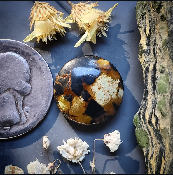 Black Jack Turquoise Round Cabochon