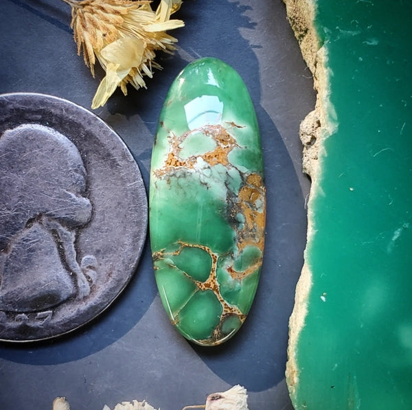 Woodlands Station Variscite Oval Cabochon