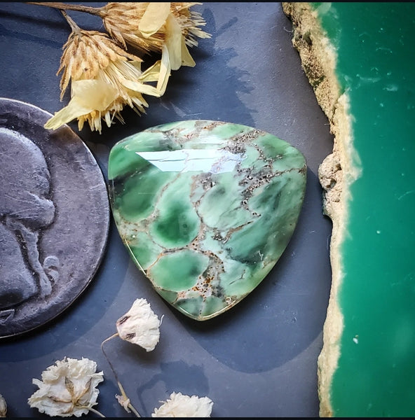 Woodlands Station Variscite Trillion Cabochon