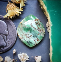 Woodlands Station Variscite Marquise Cabochon