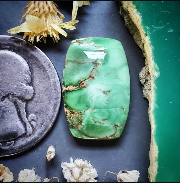 Woodlands Station Variscite Bar Cabochon