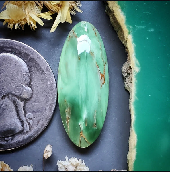 Woodlands Station Variscite Oval Cabochon