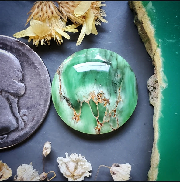Woodlands Station Variscite Round Cabochon