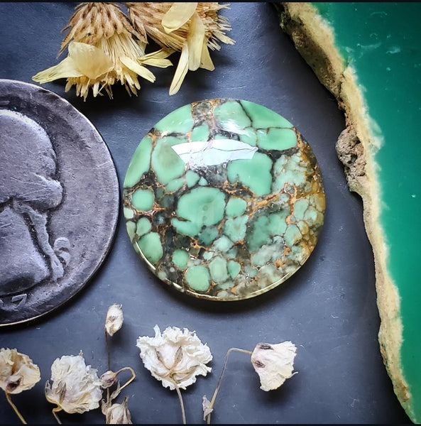 Woodlands Station Variscite Round Cabochon