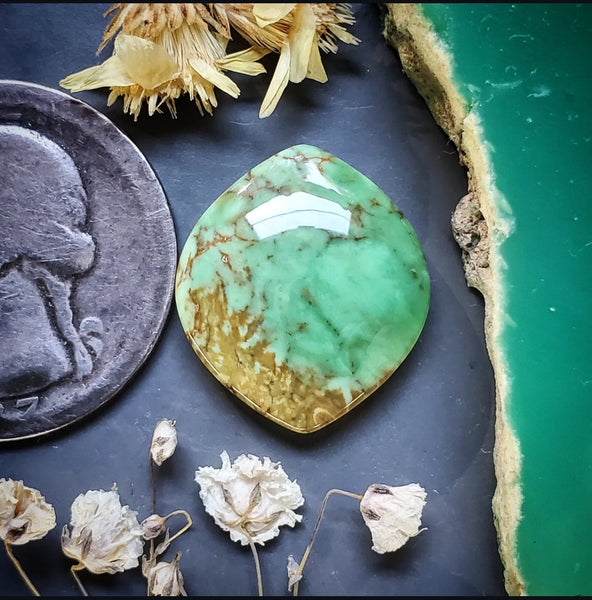 Woodlands Station Variscite Marquise Cabochon