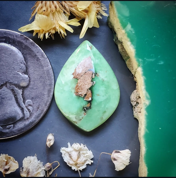 Woodlands Station Variscite Petal Cabochon