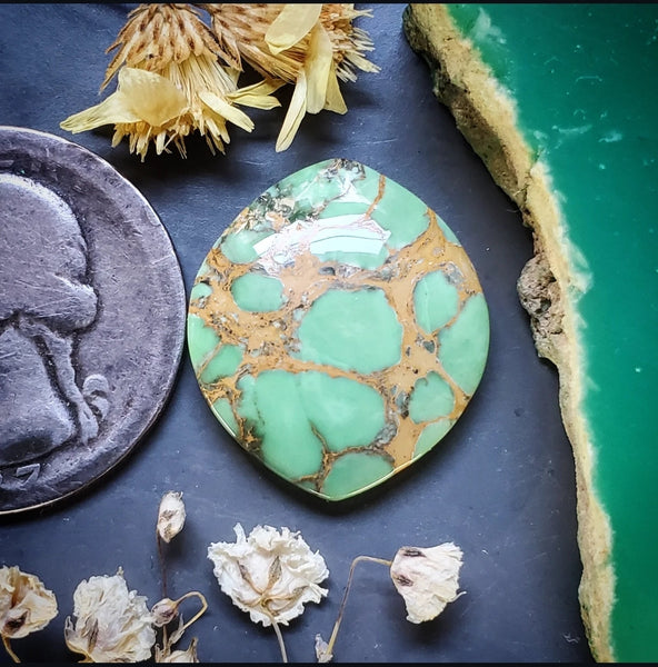 Woodlands Station Variscite Marquise Cabochon