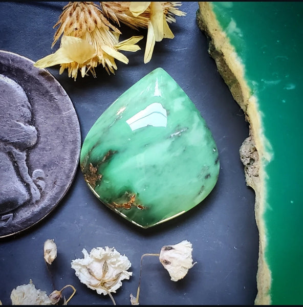 Woodlands Station Variscite Petal Cabochon