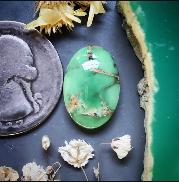 Woodlands Station Variscite Oval Cabochon