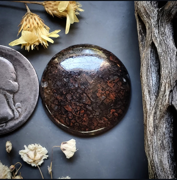 Dinosaur Bone Round Cabochon