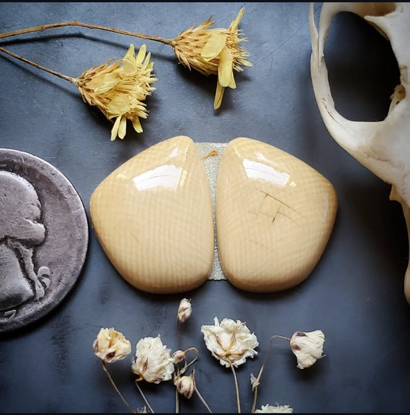 Alaskan WMT Freeform Earring Pair Cabochon