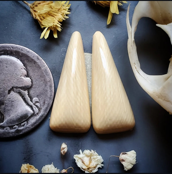 Alaskan WMT Drop Earring Pair Cabochon