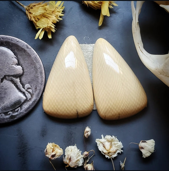 Alaskan WMT Drop Earring Pair Cabochon