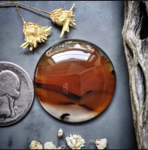 Montana Agate Large Round Cabochon