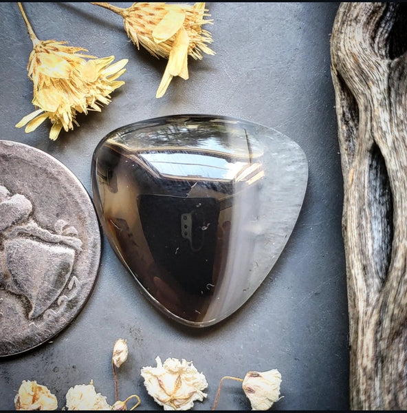 Montana Agate Trillion Cabochon