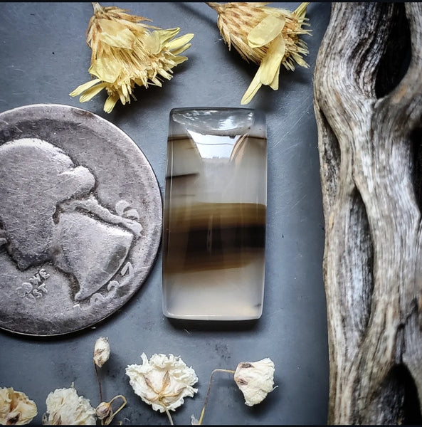 Montana Agate Bar Cabochon