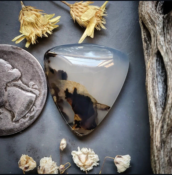 Montana Agate Trillion Cabochon