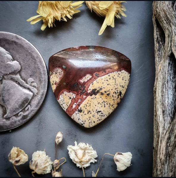 Incan Paint Blanket Jasper Trillion Cabochon