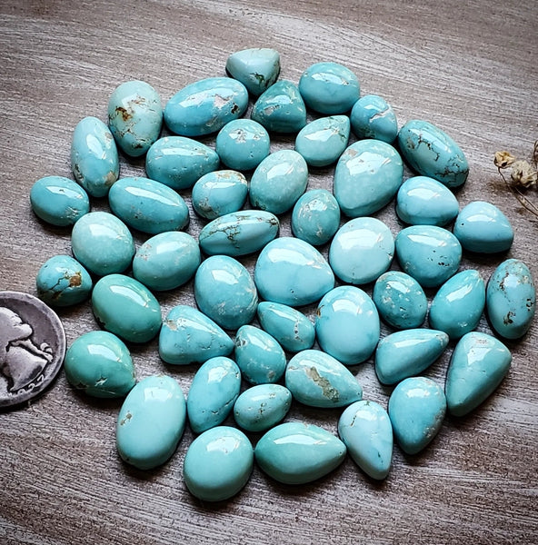Fox Turquoise Tray Cabochon
