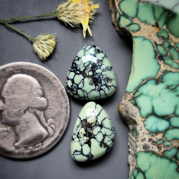 Colina Verde Freeform Set Cabochon