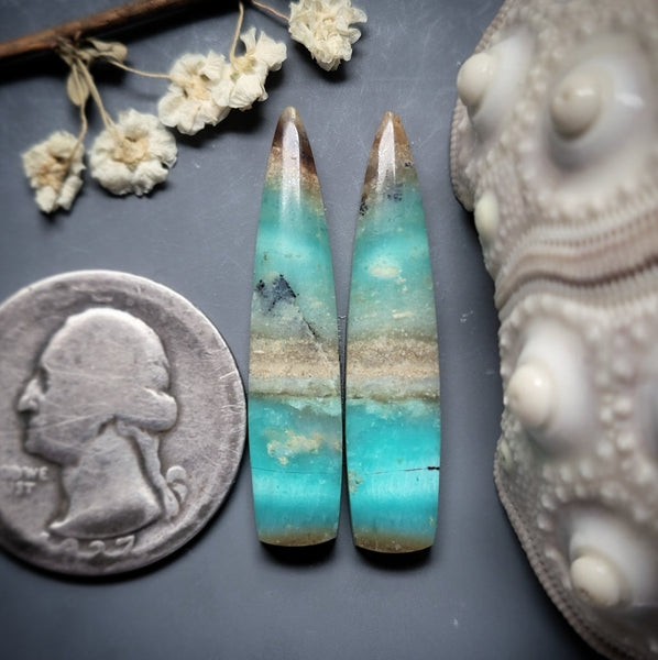 Opalwood Earring Pair Cabochon
