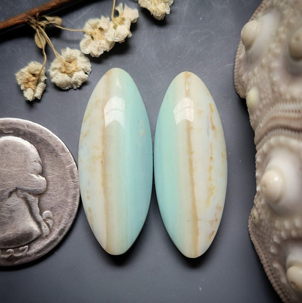 Opalwood Oval Earring Pair Cabochon