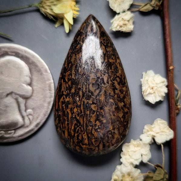 Dinosaur Bone Drop Cabochon