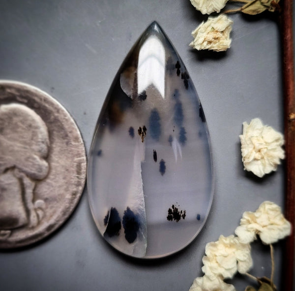 Montana Agate Drop Cabochon