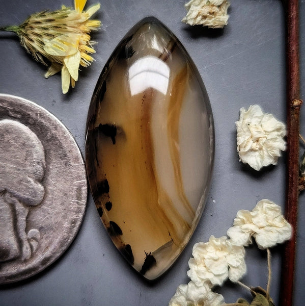 Montana Agate Marquise Cabochon