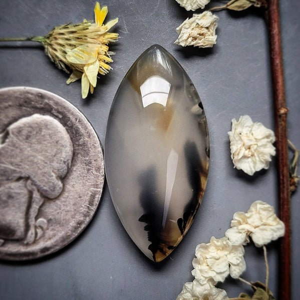 Montana Agate Marquise Cabochon