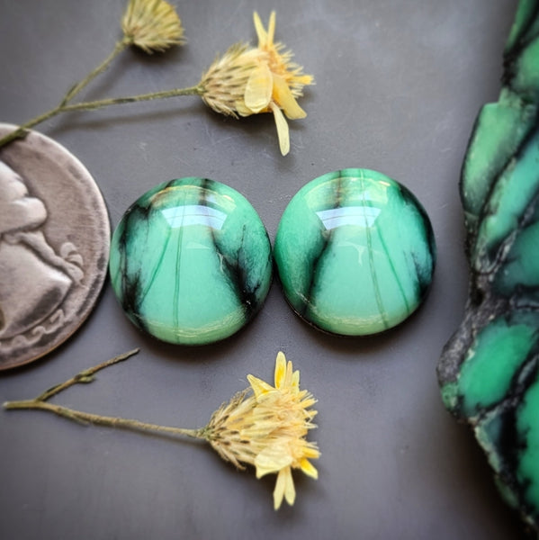 Desert Oasis Round Earring Pair Cabochon