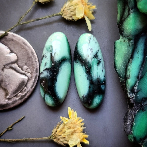 Desert Oasis Oval Earring Pair Cabochon