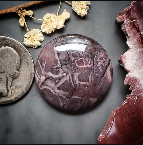 Sci-Fi Porcelain Jasper Round Cabochon