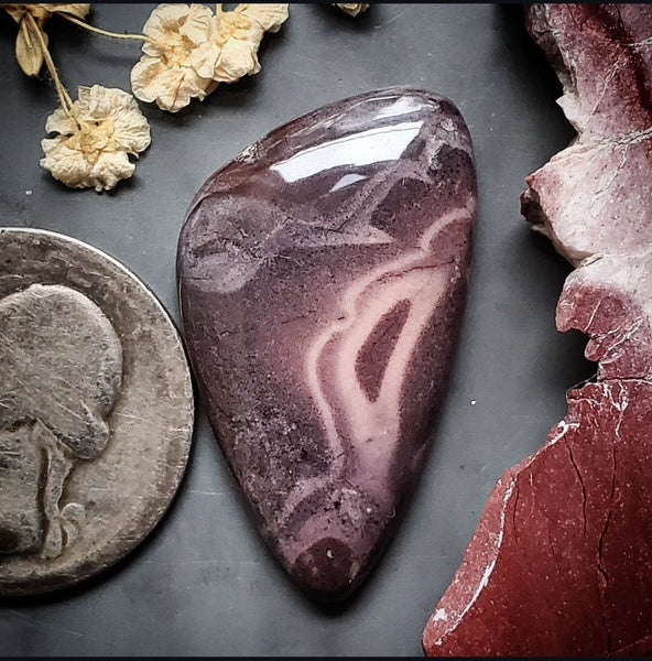 Sci-Fi Porcelain Jasper Freeform Cabochon